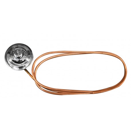 PULSANTE PER BATTERIA DI SCARICO CATIS